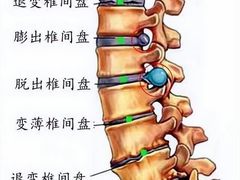 -体博士·疼痛调理·体态矫正·运动康复中心(大望路华贸店)