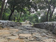 -阳台山自然风景区