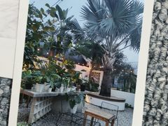-自由生长植物工作室(深港花卉中心店)