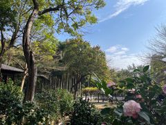 -深圳国际园林花卉博览园