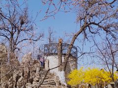 -桃花堤公园