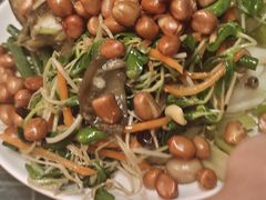 -永生號(未来城店)