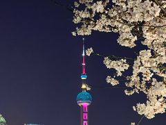 -东方明珠广播电视塔