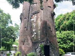 -青青世界