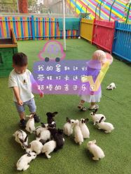 -萌宠亲子动物乐园(槐房万达店)