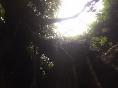 -龙达温泉生态城