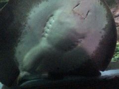 -苏州海洋馆