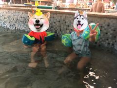 -南宫温泉水世界