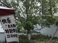 -青果巷历史文化街区