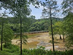 -广州市白云山风景名胜区