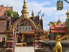 -西双版纳傣族园