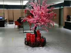 大堂-红鼎豆捞·非遗鲍皇汤火锅(宝丰路店)