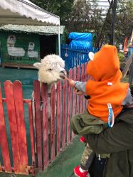 -萌宠亲子动物乐园(槐房万达店)