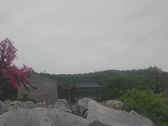 -《神游传奇》秀