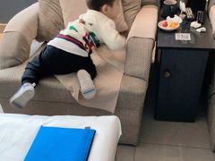 -刀马旦养生中心(时代店)