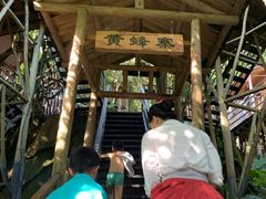 -天门沟九州驿站树上汤泉