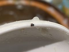 -火齐潮汕砂锅粥(五道口店)