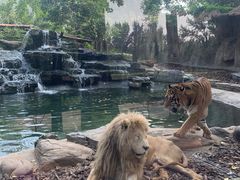 -北京野生动物园