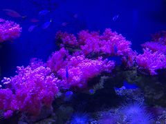 -北海·海洋之窗