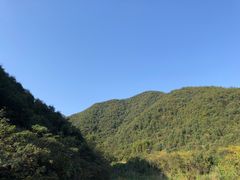 -梦娜斯庄园
