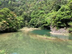 -龙湾潭国家森林公园