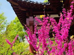 -南汇桃花村