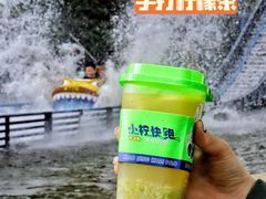 -小柠快跑·手打柠檬茶(万松园店)