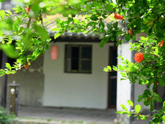 -黎里古镇
