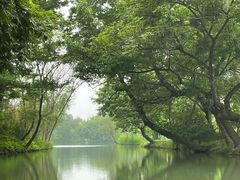 -西溪国家湿地公园