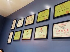 -新概念来凤鱼(璧山店)