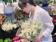 -豆豆花艺(新光天地店)
