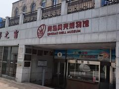 -青岛贝壳博物馆