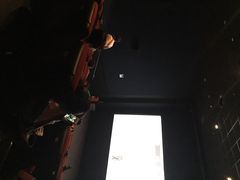 万达影院(浦西店)-万达影城(浦西万达广场激光IMAX店)