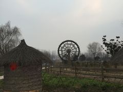 -溱湖国家湿地公园