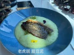 -翡翠36餐厅(浦东香格里拉店)