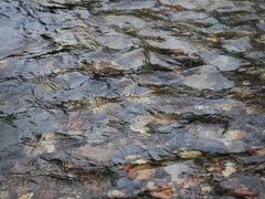 -白河湾生态旅游一条川