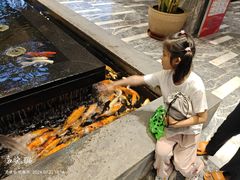 -弘安丽水温泉酒店