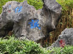 -重庆彩云湖湿地公园