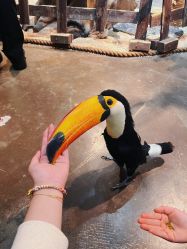 -Zoolung Zoolung动物主题公园(海信广场店)