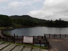 -海南热带雨林国家公园吊罗山景区