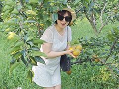 -云河农家乐饭店(福禄缘树山店)