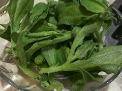 -一叶一世界•素食餐厅(环球中心店)