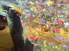 -大江户·温泉洗浴(浑南店)