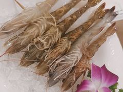 -慢搅粥底火锅(武侯大悦城店)