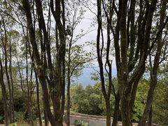 -广州市帽峰山景区