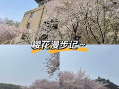 -武汉大学-樱园