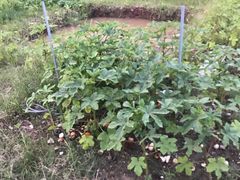 -怡海公园(桂城街道)