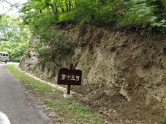 -天女山森林公园