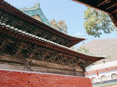 -报恩寺(平武县)