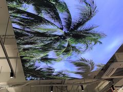 -探窝·竹笙椰子鸡(杨箕店)